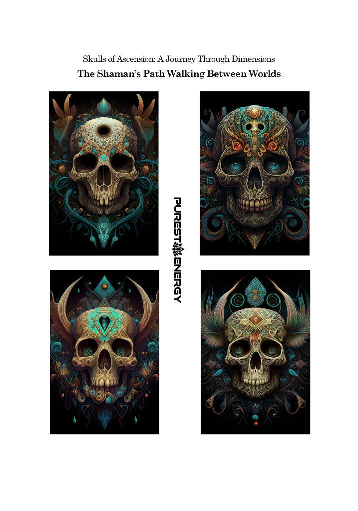 The Shaman’s Path Walking Between Worlds Sticker Collection